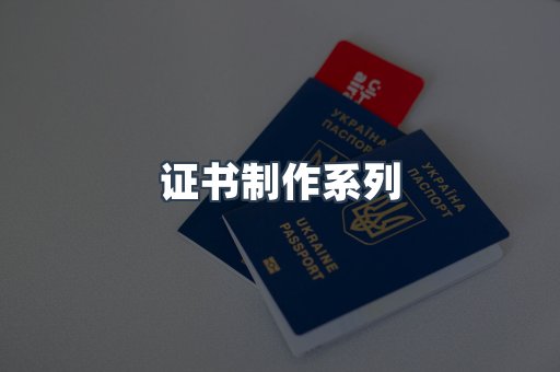 仿制证件24小时